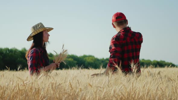 Farmers Talking in a Wheat Field Against Sunset