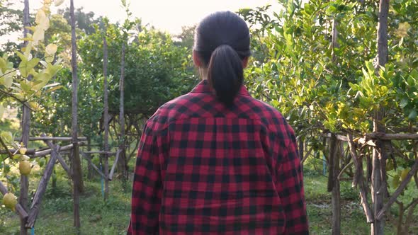 Rear anglel, follow shot of unrecognizable woman walking in the farm