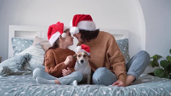 Happy Woman in Santa Hat with Girl Daughter and Smiling Jack Russell Terrier Dog Sit on Beautiful