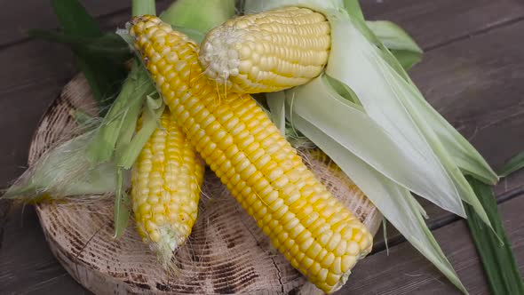 Natural Corn on a Wooden Background