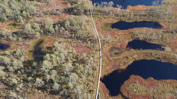 Drone aerial view to Estonian bog