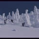 Snowboarders And Skier Traversing Fresh Powder - VideoHive Item for Sale