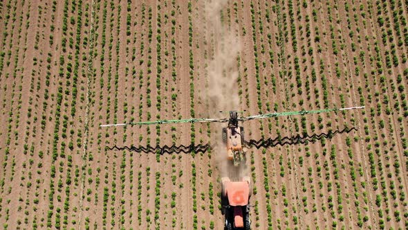 Tractor Spraying Pesticides on Vegetable Field with Sprayer