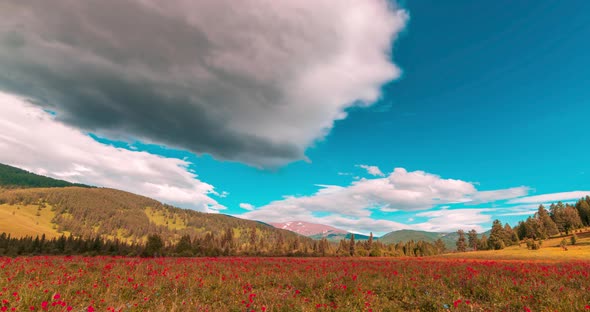 Mountain Meadow Timelapse at the Summer or Autumn Time