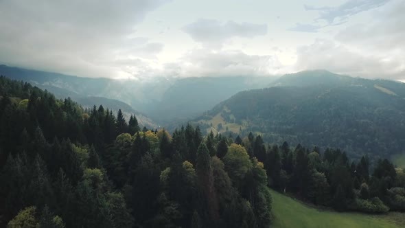 Aerial view of forest in the mountains and dramatic sky