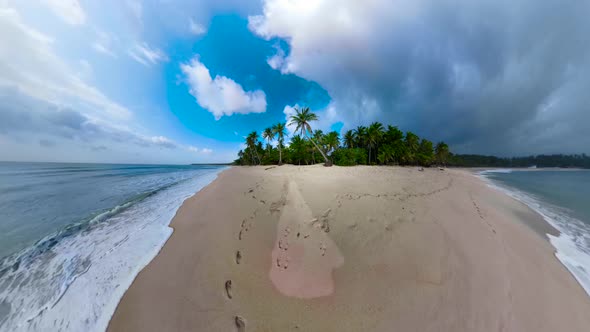 Tropical Island with Beach