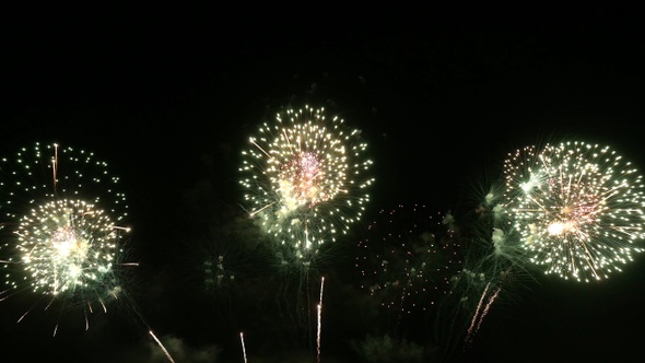 Firework