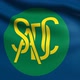 SADS Flag - VideoHive Item for Sale