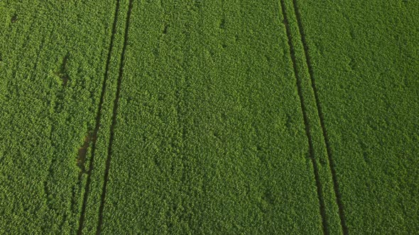 Drone Footage of Spring Field