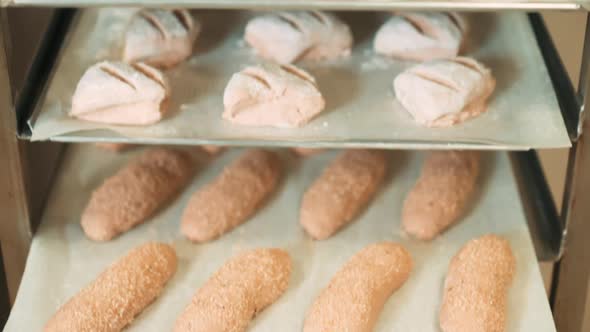 Tray rack full of fresh oven baked bread rolls in different shapes and forms, bread rolls on baking