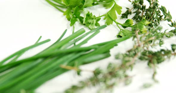 Various type of herbs on white background 4k