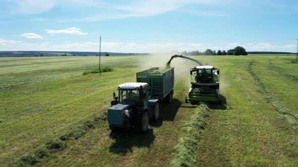 Aerial View of Harvesting Machine Cutting Down Ripe Crop Ready to Be Transported and Refined