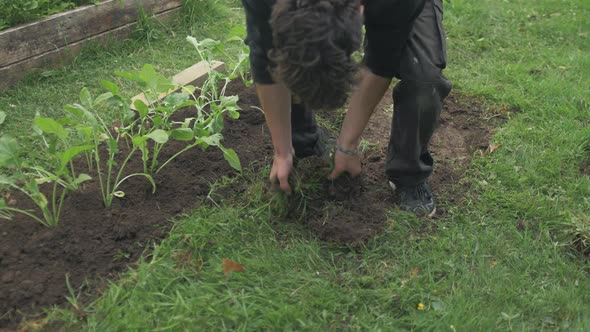 Young man gardening ring top soil