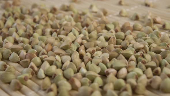Uncooked raw green buckwheat grains fall in slow motion
