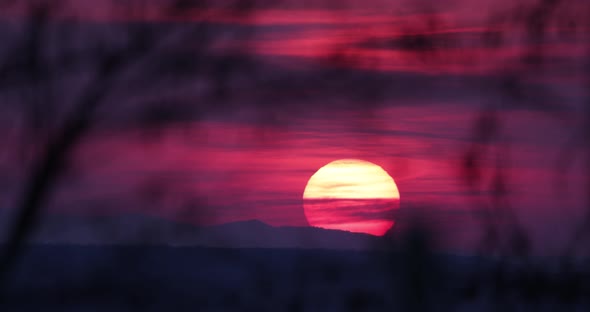 Dramatic Sunset With Pink Hued Sky Behind Bokeh Foliage