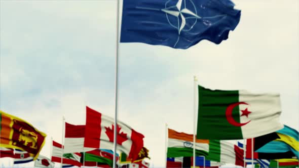 nato Flag With World Globe Flags Morning Shot