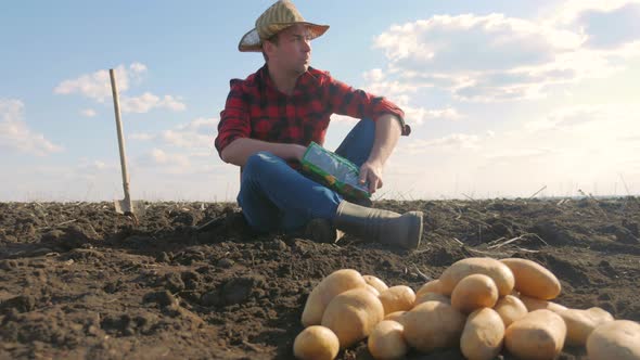 Potato Harvesting Concept