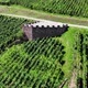 Small viewpoint on hill side, surround with green vineyards, aerial shot - VideoHive Item for Sale