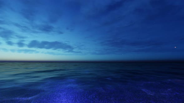  Night In The Ocean alt