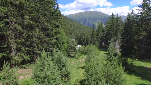 Aerial view of mountain bikers on a scenic singletrack trail