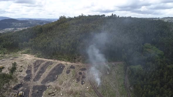 Natural Disaster Forest Fire