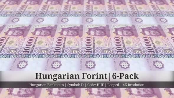 Hungarian Forint | Hungary Currency - 6 Pack | 4K Resolution | Looped