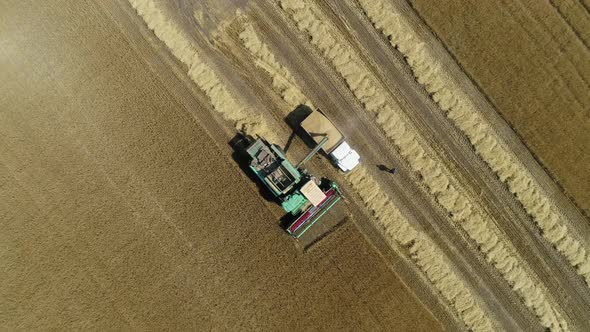 Aerial Drone Footage. Harvester Spills Grain Into a Truck. Top View