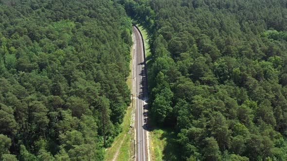 Railway Through Summer Forest