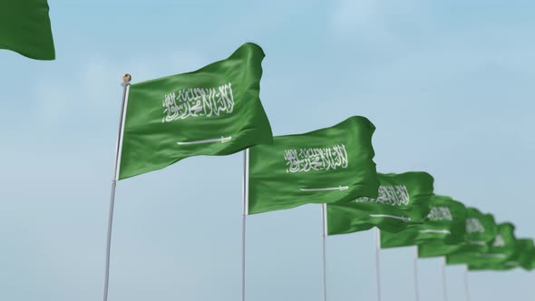 Saudi Arabia Row Of Flags 