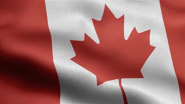 Canada Flag Seamless Closeup Waving Animation