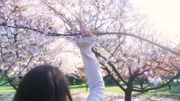 Girl walking in Japanese Garden with blooming trees. Young woman with long hair enjoys spring