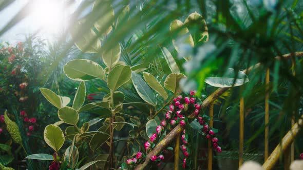 Amazing Flowers and Tropical Plants in a Large