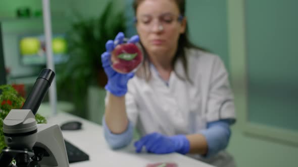 Scientist Woman Looking at Vegan Beef Meat for Biochemistry Experiment