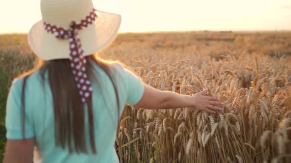 Woman in a Hat and a Blue Dress Walks Along a Wheat Field and Touches Ripe Spikelets of Wheat with