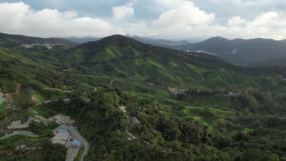 Cameron Highlands, Pahang Malaysia