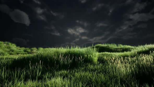 Storm Clouds Above Meadow with Green Grass