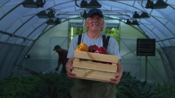 Cheerful Aged Farmer with Peppers Walking in Greenhouse