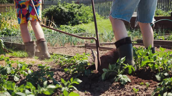 Dad and Son Working in Garden Plowing Ground Pulling Plow Preparing Soil