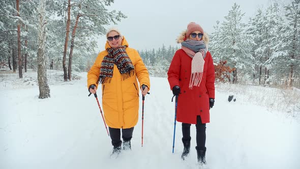 Sport Activities Healthy Lifestyle. Nordic Walking With Trekking Sticks. Winter Adventure Hiking.