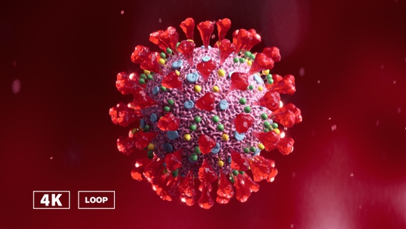 Coronavirus disease 2019 in bloodstream 3D rendering
