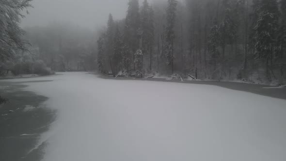 Foggy Scenery Of A Frozen Lake In The Center Of A Vast Forest In A Gloomy Winter Day -ing medium sho