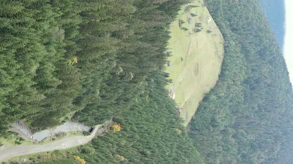 Vertical Video Carpathian Mountains