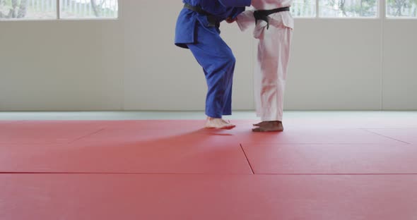 Judokas training by doing a randori on the judo mat