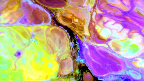 Liquid Colorful Paint Pattens Mix In Slow Motion 61