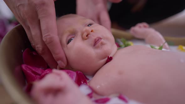 Portrait of Dissatisfied Crying Baby Girl Lying in Milk Water with Rose Petals As Female Hands