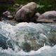 Close up of river stones with flowing water, clean water flowing in a mountain river - VideoHive Item for Sale