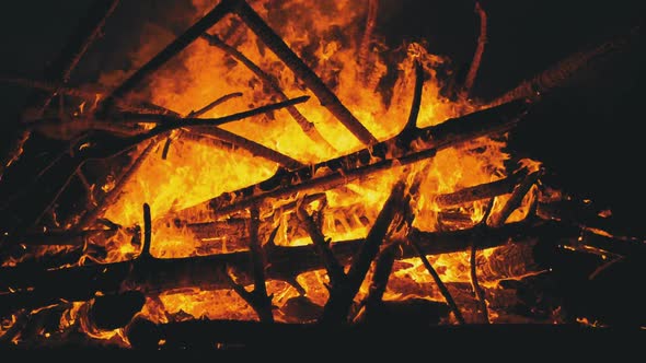 Big Campfire of the Logs Burns at Night in the Forest