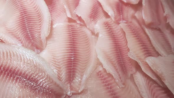 Fillets of Fresh Tilapia Fish Lie on the Ice Counter in the Store Under a Cooling Spray