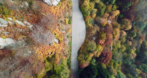 Overhead Aerial Top View Over Road in Colorful Countryside Autumn Forest