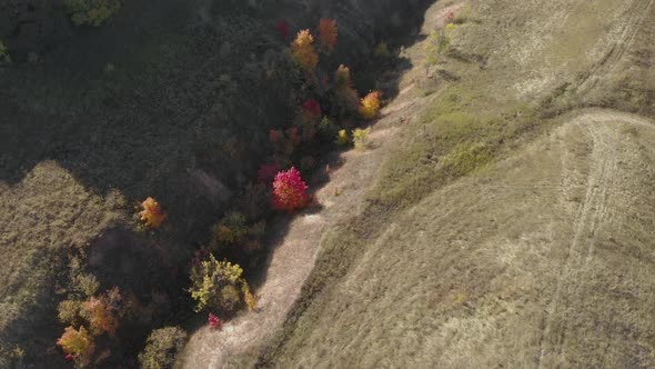 Aerial Shot Of A Hill